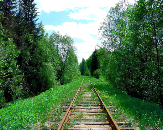31669 (a): :1280x1024